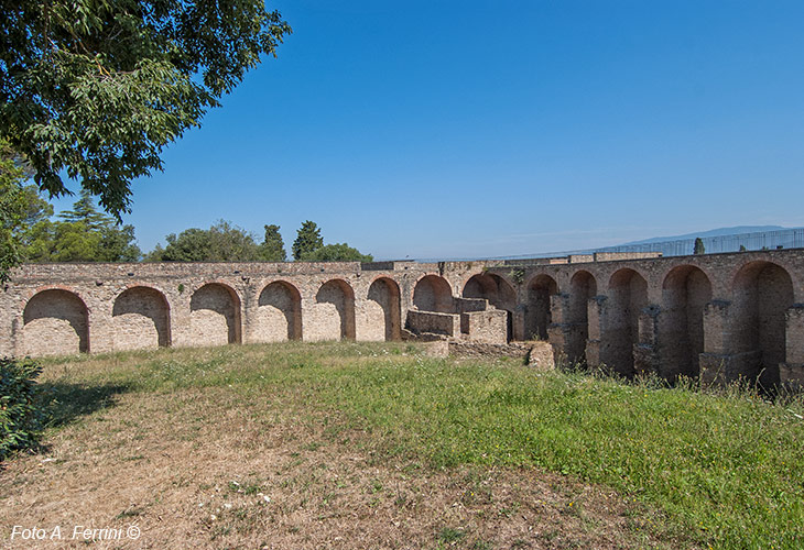 Fortress of Arezzo
