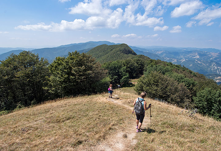 Itinerari Foreste Casentinesi