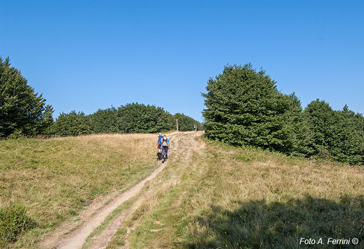 Monte Falco