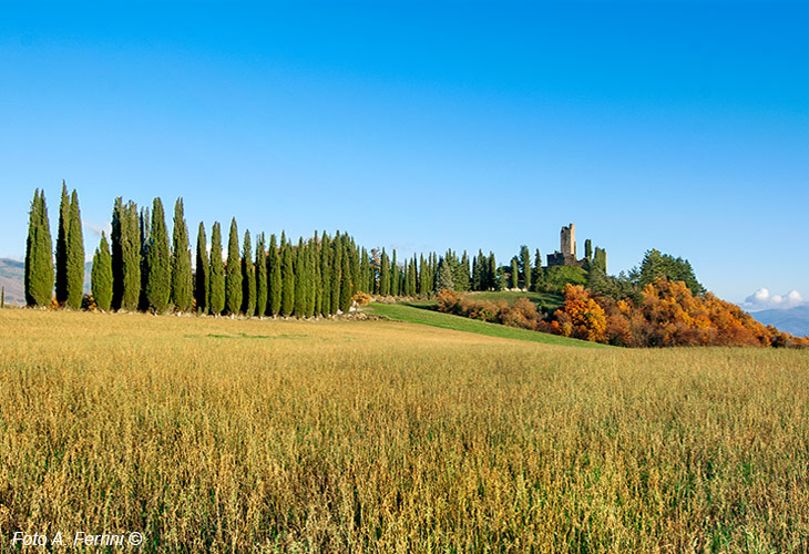 Tuscan landscapes