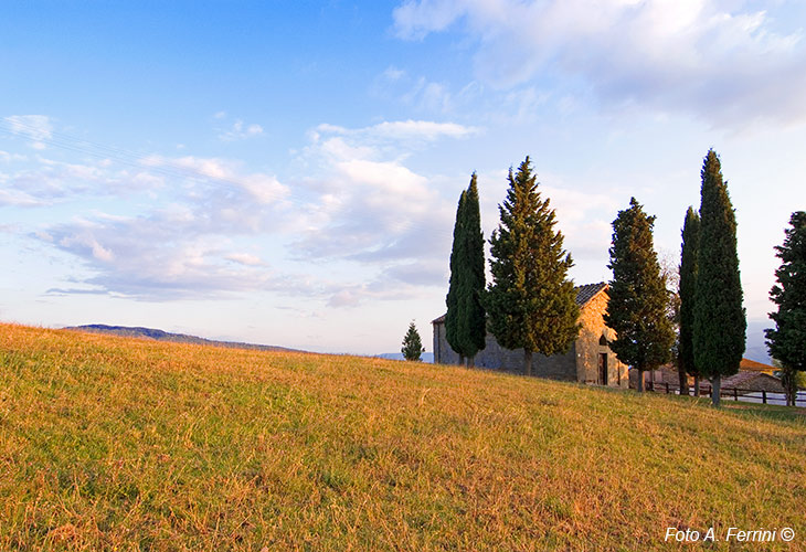 Comune Pratovecchio Stia