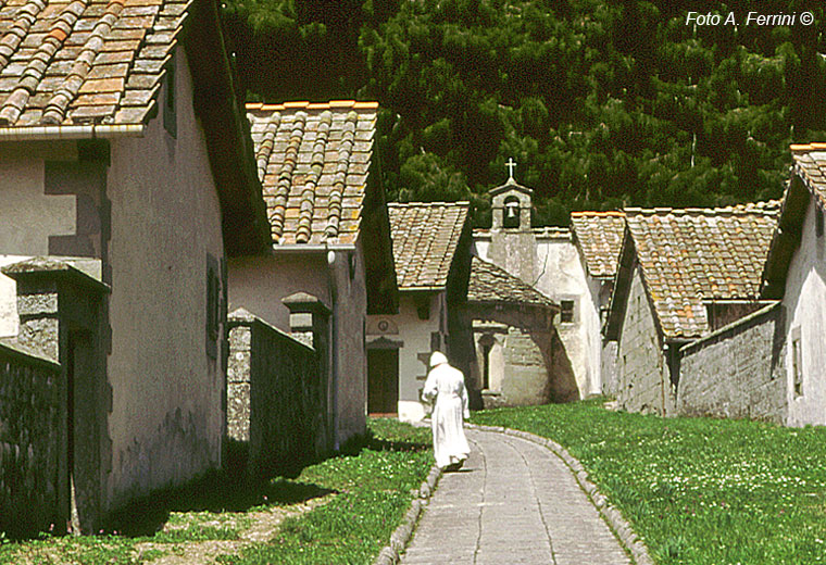 Passeggiate ad Arezzo