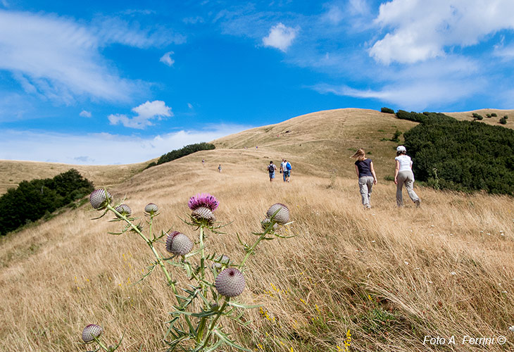 Trekking in Tuscany