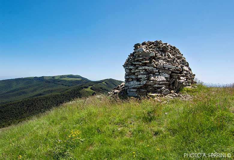 Uomo di Sasso