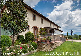 La Torricella La Torricella