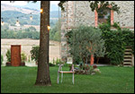 Agriturismo Casa Agricola Rossi