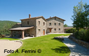 LA CASETTA DELLE ERBE