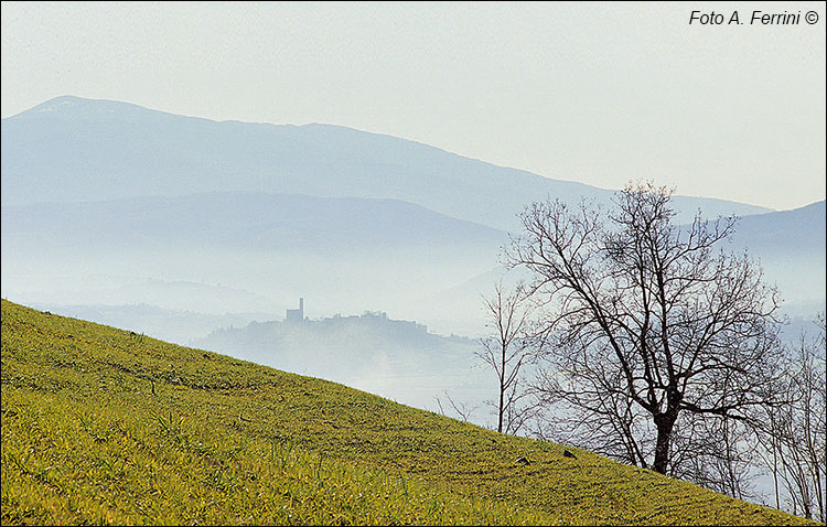 Nebbia sul Casentino