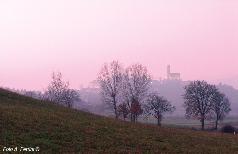 Poppi al tramonto