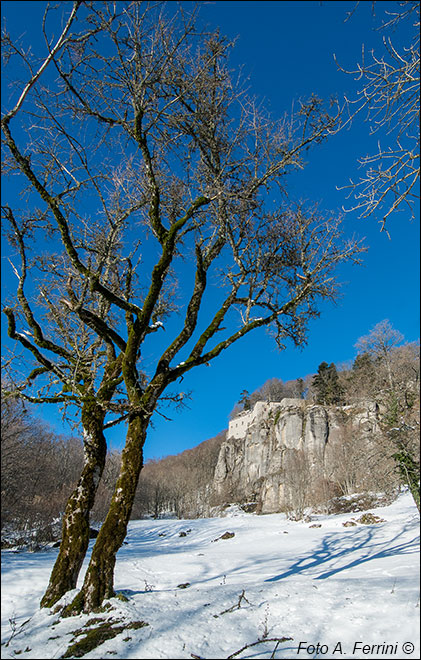 Scogliera della Verna