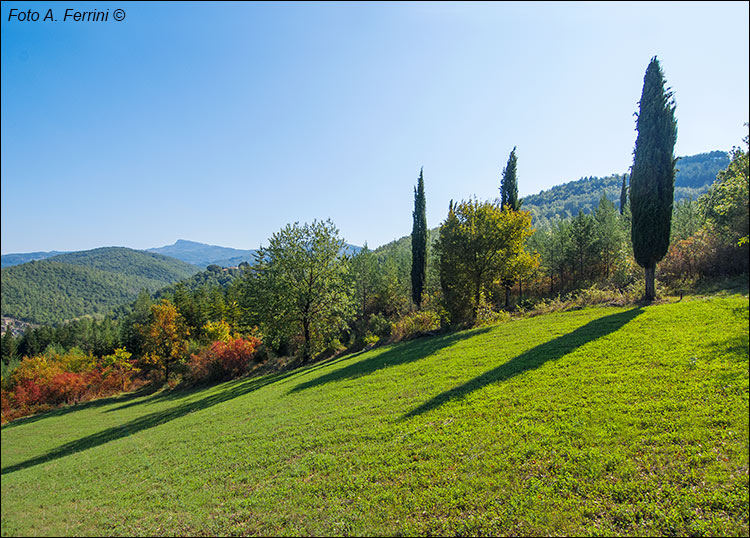 Valle del Corsalone