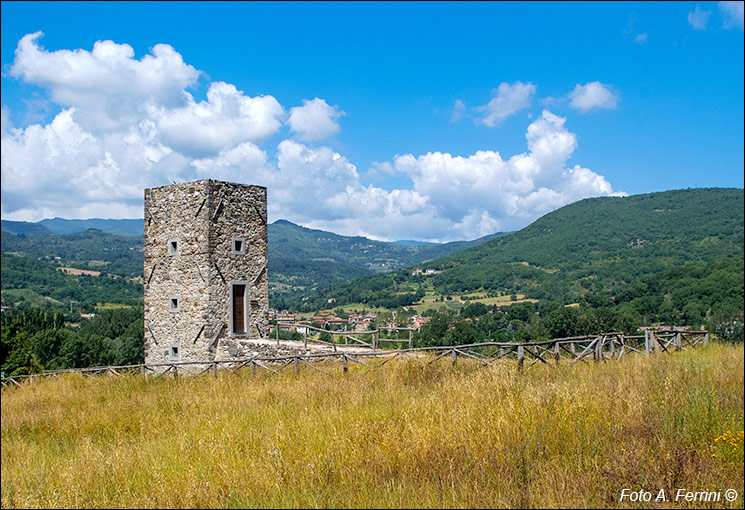 Torre Bellavista, Rassina