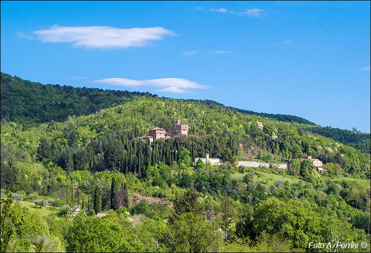 Castello di Valenzano