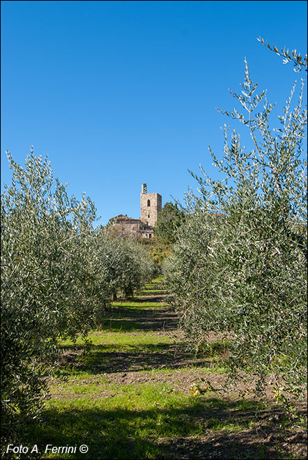 Bibbiano, Capolona