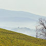 Nebbia sul Casentino