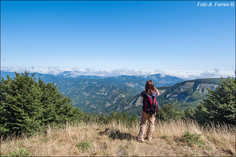 Panorami da Monte Falco
