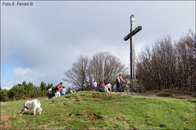 La cima del Falterona
