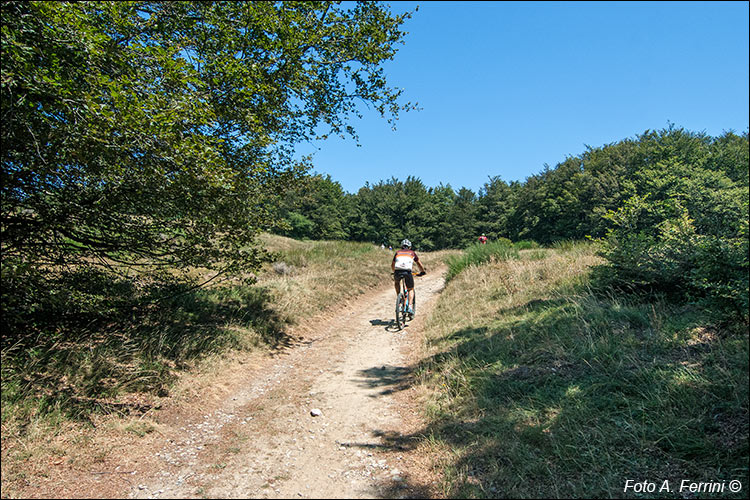 Il GEA 00 presso Poggio Scali
