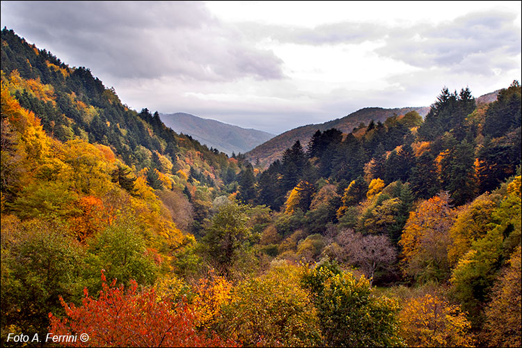 Autunno nel Parco Nazionale
