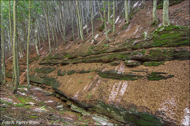 Conformazioni rocciose nel Parco
