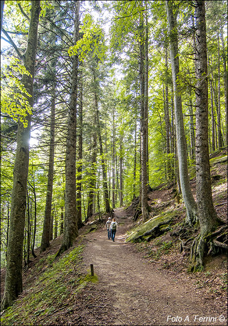 CAI 225 per Monte Penna
