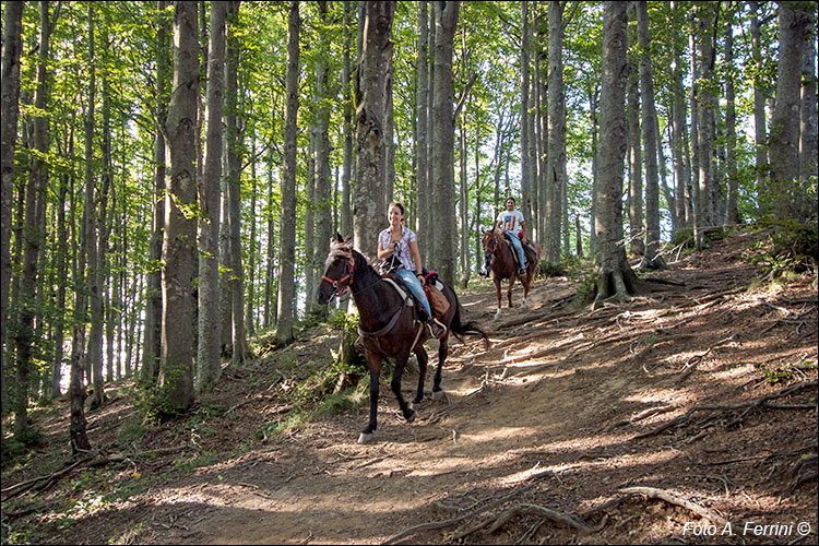 Escursioni a cavallo nel Parco
