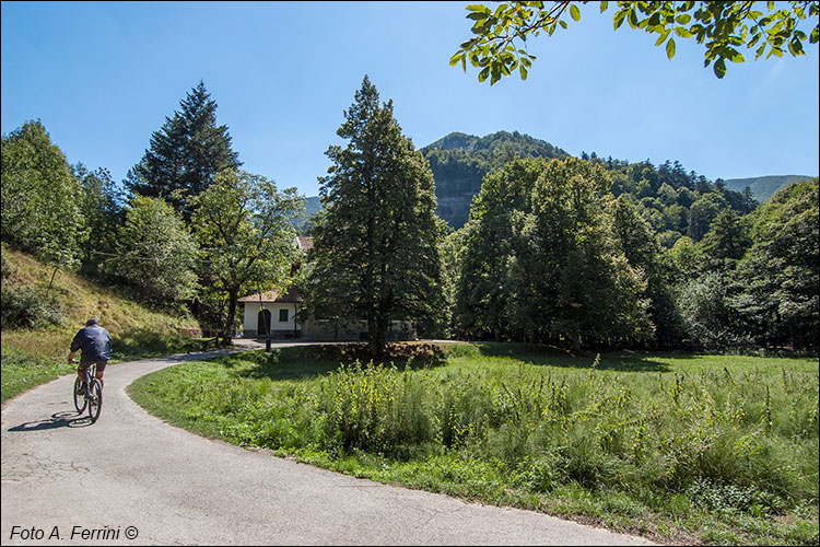 La Lama e la sua foresta
