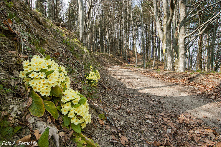 GEA 00 al Passo dei Mandrioli
