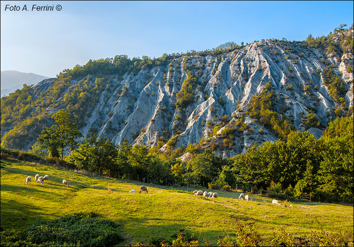 Calanchi della Vallesanta