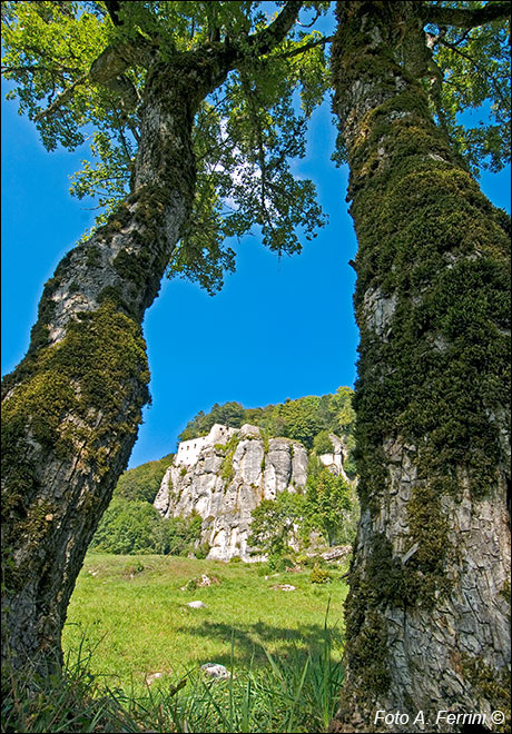 Scogliera della Verna
