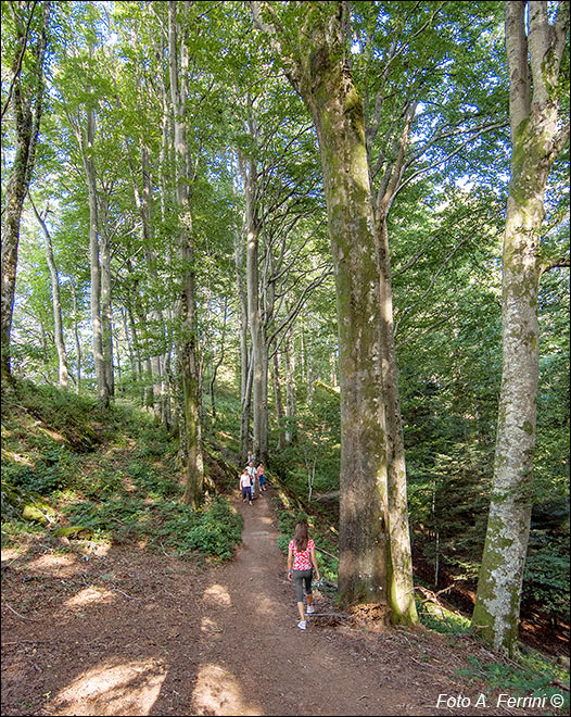 CAI 051, Monte Penna della Verna
