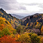 Autunno nel Parco Nazionale
