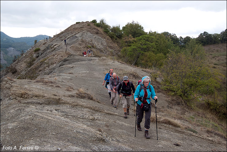 Pilgrims Crossing Borders