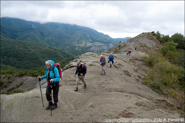 Pilgrims Crossing Borders