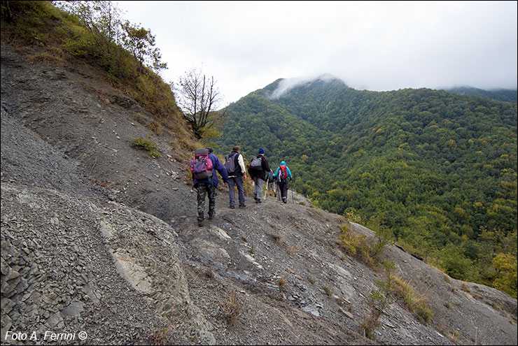 Pilgrims Crossing Borders