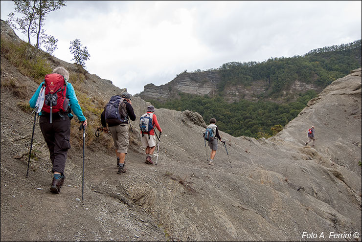 Pilgrims Crossing Borders