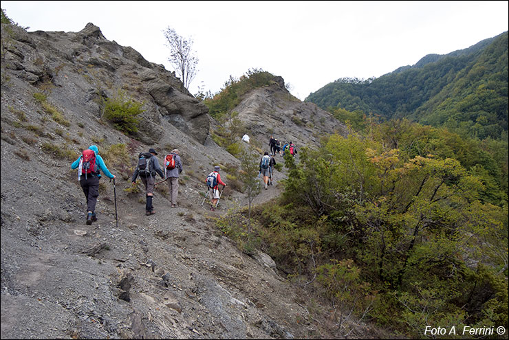 Pilgrims Crossing Borders