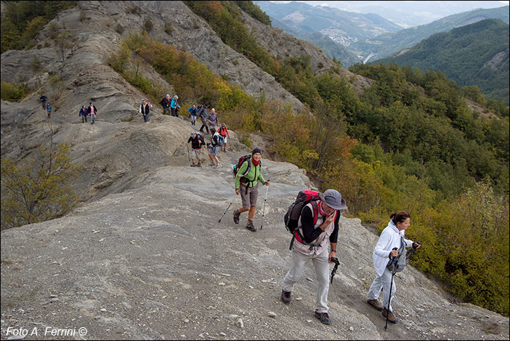 Pilgrims Crossing Borders