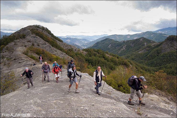 Pilgrims Crossing Borders