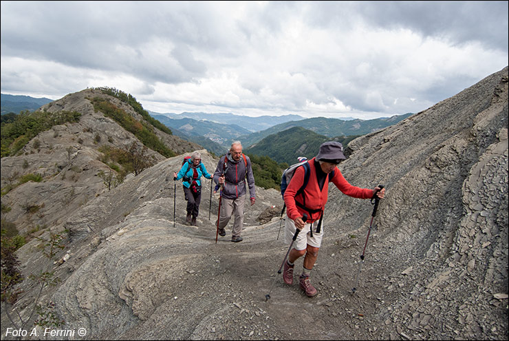 Pilgrims Crossing Borders