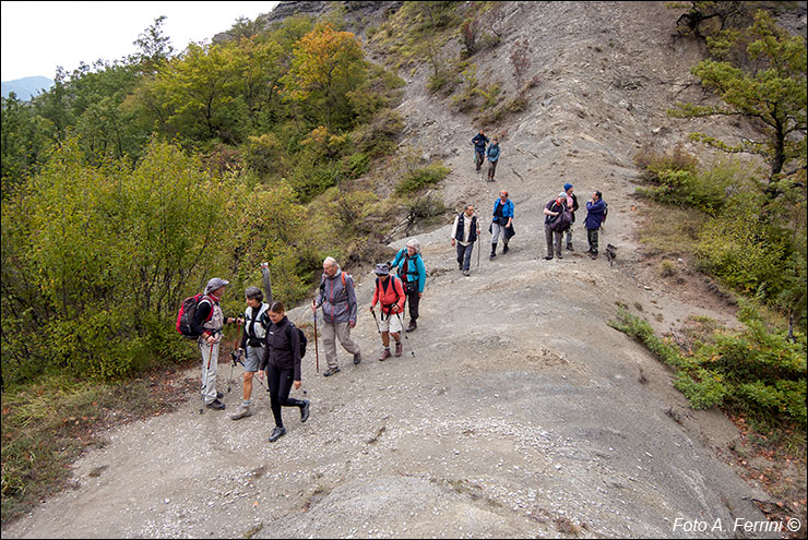 Pilgrims Crossing Borders