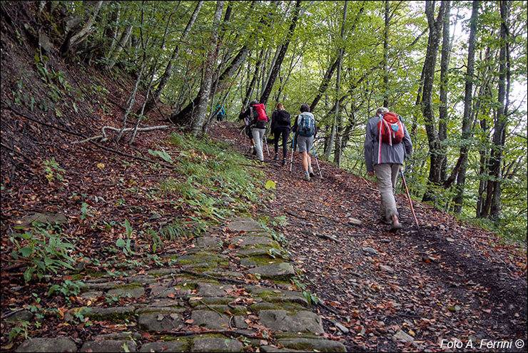 Pilgrims Crossing Borders