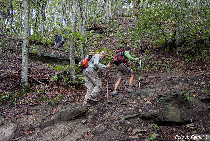 Pilgrims Crossing Borders