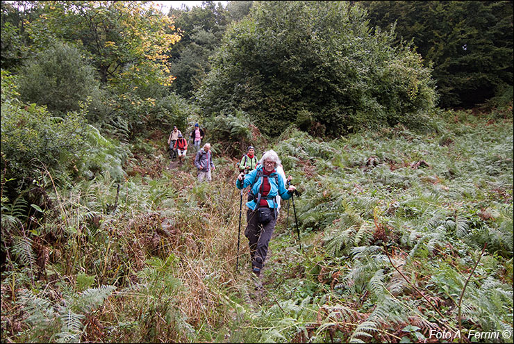 Pilgrims Crossing Borders