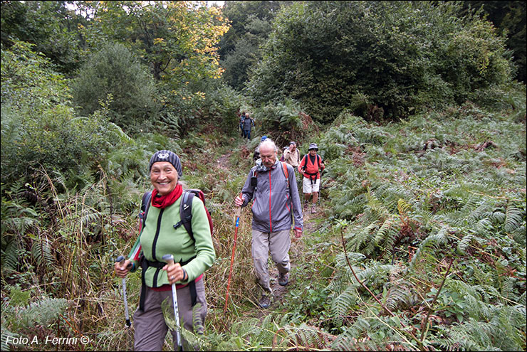 Pilgrims Crossing Borders