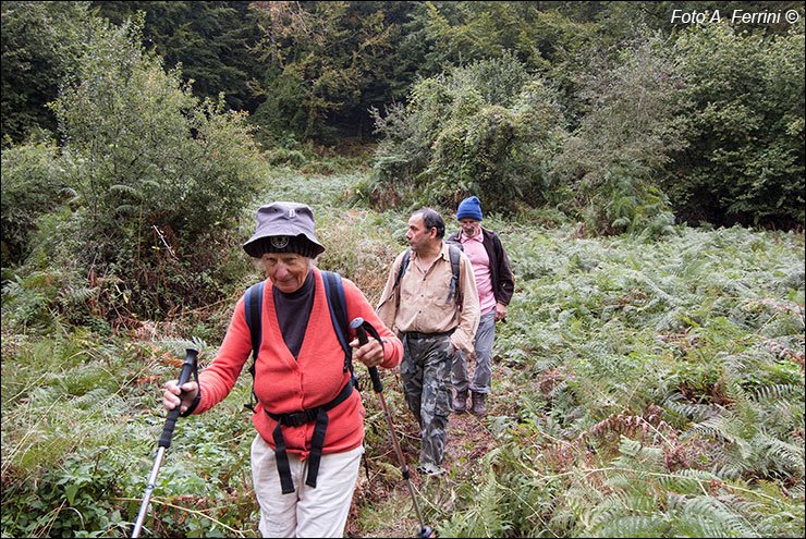 Pilgrims Crossing Borders