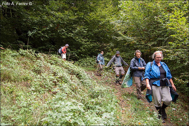 Pilgrims Crossing Borders