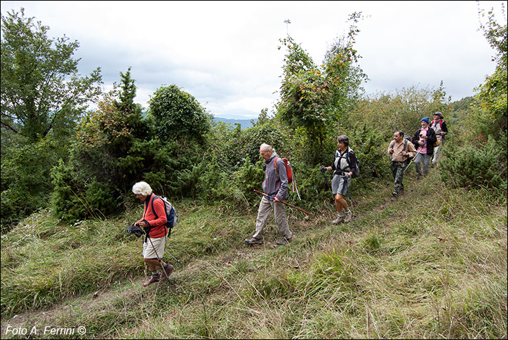 Pilgrims Crossing Borders