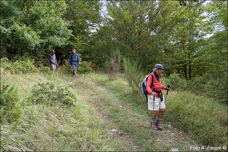 Pilgrims Crossing Borders