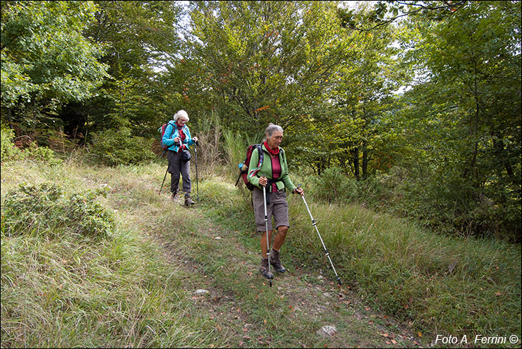 Pilgrims Crossing Borders